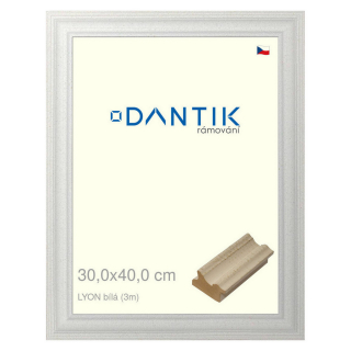 DANTIK rámeček 30x40 | LYON Bílá (Plexi Čiré)