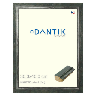 DANTIK rámeček 30x40 | IVANETE zelená (Plexi Čiré)