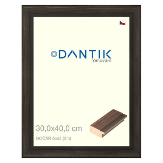 DANTIK rámeček 30x40 | Gočár šedá (Plexi Čiré)