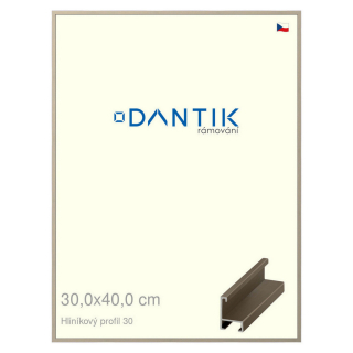 DANTIK rámeček 30x40 | ALU profil 6030 champagne (Plexi Čiré)