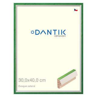 DANTIK rámeček 30x40 | EVOQUE zelená (Plexi Čiré)