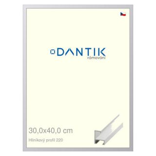 DANTIK rámeček 30x40 | ALU profil 6220 Bílá matná (Plexi Čiré)