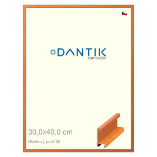 DANTIK rámeček 30x40 | ALU profil 6035 Dýha barevná oranžová (Plexi Čiré)