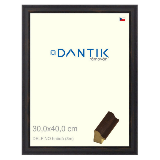 DANTIK rámeček 30x40 | DELFINO hnědá (Plexi Čiré)