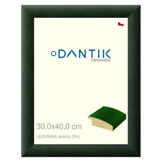 DANTIK rámeček 30x40 | LEDVINKA zelená (Plexi Čiré)