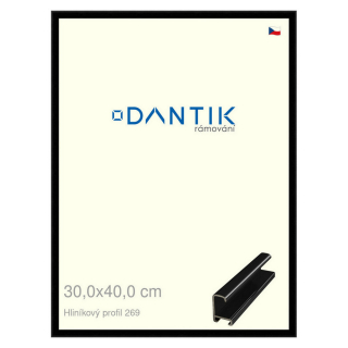 DANTIK rámeček 30x40 | ALU profil 7269 Černá lesklá (Plexi Čiré)