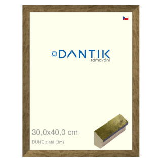 DANTIK rámeček 30x40 | DUNE zlatá (Plexi Čiré)
