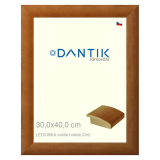 DANTIK rámeček 30x40 | LEDVINKA světle hnědá (Plexi Čiré)