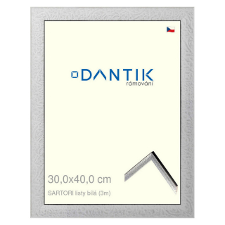 DANTIK rámeček 30x40 | SARTORI listy čílá (Plexi Čiré)