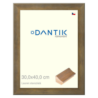 DANTIK rámeček 30x40 | Lauren starozlatá (Plexi Čiré)