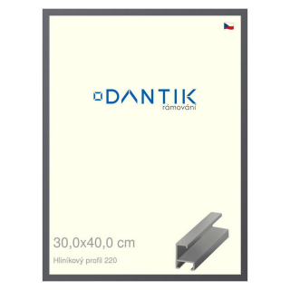 DANTIK rámeček 30x40 | ALU profil 6220 Ocelová (Plexi Čiré)