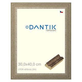DANTIK rámeček 30x40 | LYON stříbrná (Plexi Čiré)
