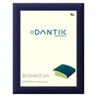 DANTIK rámeček 30x40 | LEDVINKA modrá (Plexi Čiré)