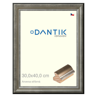 DANTIK rámeček 30x40 | ANIVERSA stříbrná (Plexi Čiré)