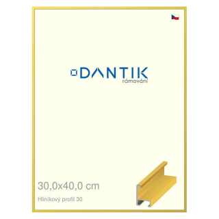 DANTIK rámeček 30x40 | ALU profil 6030 Dýha barevná žlutá citrus (Plexi Čiré)