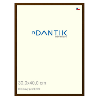 DANTIK rámeček 30x40 | ALU profil 7269 Hnědá umbra broušená (Plexi Čiré)