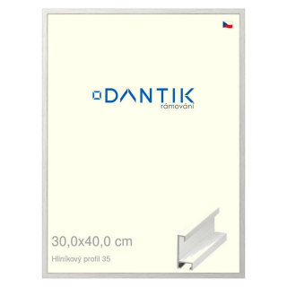 DANTIK rámeček 30x40 | ALU profil 6035 Dýha bílá (Plexi Čiré)