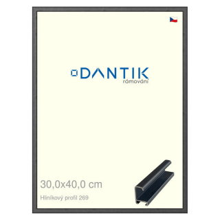DANTIK rámeček 30x40 | ALU profil 7269 Šedá Oplal broušená (Plexi Čiré)