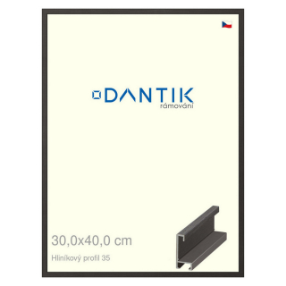 DANTIK rámeček 30x40 | ALU profil 6035 Dýha černá (Plexi Čiré)