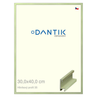 DANTIK rámeček 30x40 | ALU profil 6035 Dýha barevná zelená pastel (Plexi Čiré)