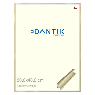 DANTIK rámeček 30x40 | ALU profil 7001 zlatá lesklá alternativa (Plexi Čiré)