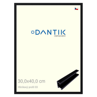 DANTIK rámeček 30x40 | ALU profil 7003 Černá Florentinská (Plexi Čiré)