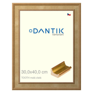 DANTIK rámeček 30x40 | TOOTH malá zlatá (Plexi Čiré)