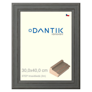 DANTIK rámeček 30x40 | STEP tmavěšedá (Plexi Čiré)