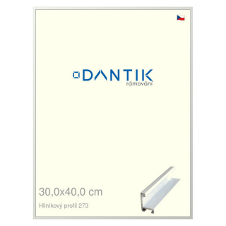 DANTIK rámeček 30x40 | ALU profil 7273 Bílá matná (Plexi Čiré)