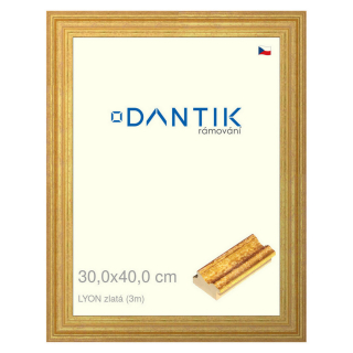 DANTIK rámeček 30x40 | LYON zlatá (Plexi Čiré)