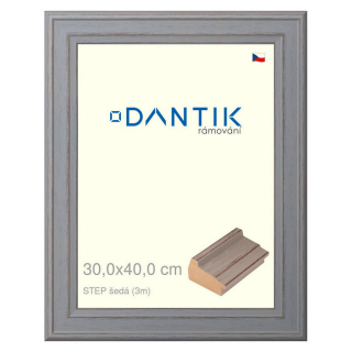DANTIK rámeček 30x40 | STEP šedá (Plexi Čiré)