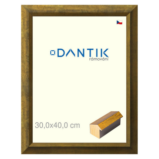 DANTIK rámeček 30x40 | Forgia Gold (Plexi Čiré)