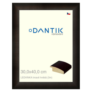 DANTIK rámeček 30x40 | LEDVINKA tmavě hnědá (Plexi Čiré)