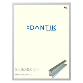 DANTIK rámeček 30x40 | ALU profil 7003 Stříbrná matná (Plexi Čiré)