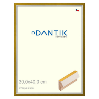 DANTIK rámeček 30x40 | EVOQUE žlutá (Plexi Čiré)