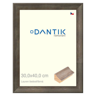 DANTIK rámeček 30x40 | Lauren šedostříbrná (Plexi Čiré)