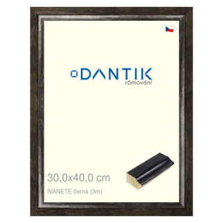 DANTIK rámeček 30x40 | IVANETE černá (Plexi Čiré)