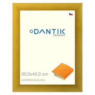 DANTIK rámeček 30x40 | LEDVINKA žlutá (Plexi Čiré)