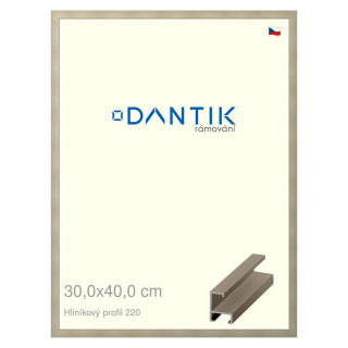 DANTIK rámeček 30x40 | ALU profil 6220 champagne (Plexi Čiré)