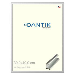 DANTIK rámeček 30x40 | ALU profil 7269 Stříbrná matná (Plexi Čiré)
