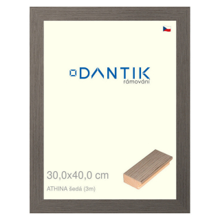 DANTIK rámeček 30x40 | ATHINA šedá (Plexi Čiré)