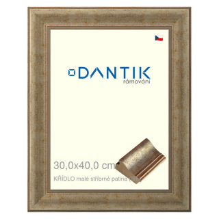DANTIK rámeček 30x40 | KŘÍDLO malé stříbrné patina (Plexi Čiré)