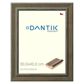 DANTIK rámeček 30x40 | Oro Fino stříbrná (Plexi Čiré)