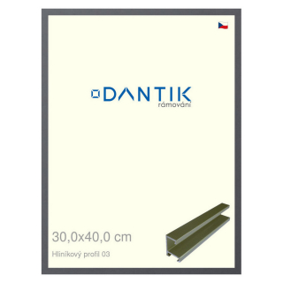 DANTIK rámeček 30x40 | ALU profil 7003 Platina matná (Plexi Čiré)