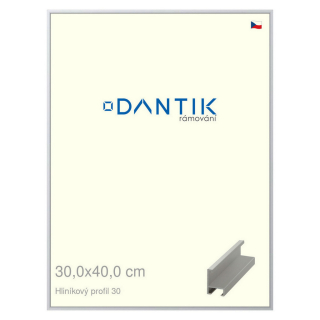 DANTIK rámeček 30x40 | ALU profil 6030 Stříbrná matná (Plexi Čiré)