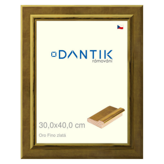DANTIK rámeček 30x40 | Oro Fino zlatá (Plexi Čiré)