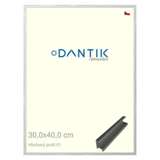 DANTIK rámeček 30x40 | ALU profil 7001 Stříbrná lesklá (Plexi Čiré)