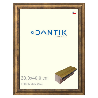 DANTIK rámeček 30x40 | TRITON zlatá (Plexi Čiré)