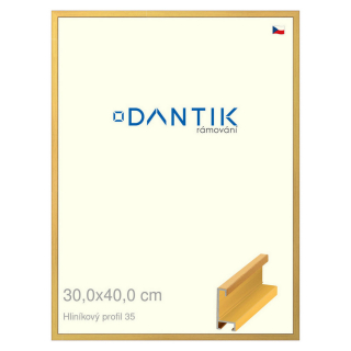 DANTIK rámeček 30x40 | ALU profil 6035 Dýha barevná žlutá (Plexi Čiré)