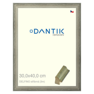 DANTIK rámeček 30x40 | DELFINO stříbrná (Plexi Čiré)